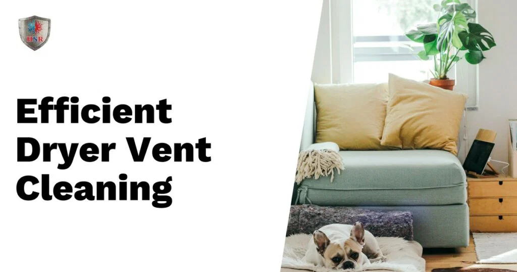 Text on left reads "Efficient Dryer Vent Cleaning." On right, a dog lies on a blanket in front of a light green sofa with yellow pillows, near a window with a potted plant.