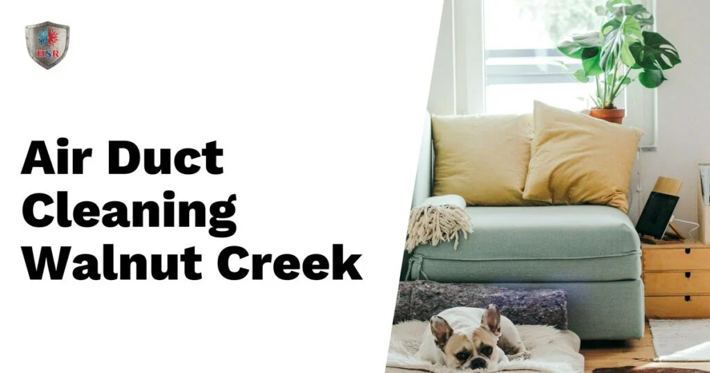 Text reads "Comprehensive Air Duct Cleaning Walnut Creek" beside a living room scene featuring a couch, pillows, potted plant, and a dog resting on a blanket on the floor.